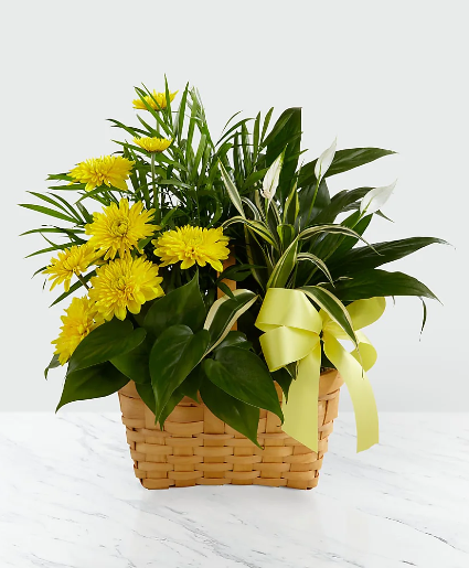 Loving Light Planter Planter