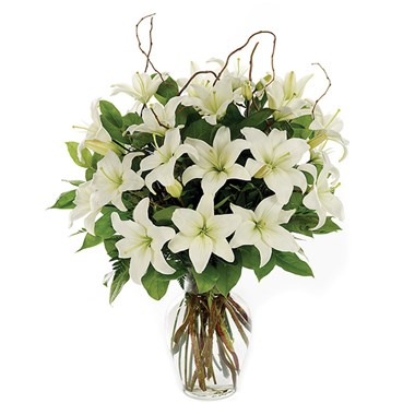 Classic White Lily Sympathy Arrangement