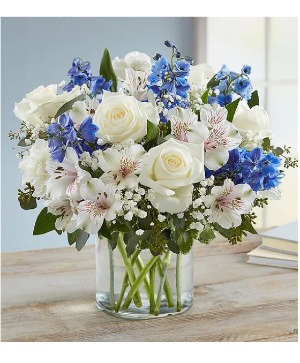 Loving Sentiments Blue & White 