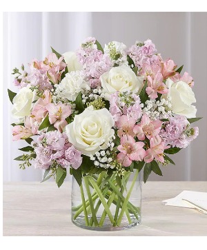Loving Sentiments Pink & White 