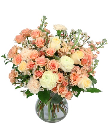 Loving Touch Flower Arrangement in Newark, OH | JOHN EDWARD PRICE FLOWERS & GIFTS