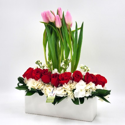 Danza de Tulipanes para Mamá Mothers Day