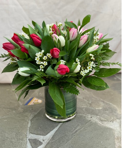 Loving Tulips 