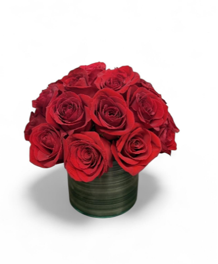 Low and Lush red roses 
