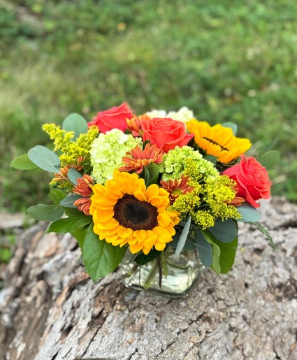 Low oranges compact arrangement 