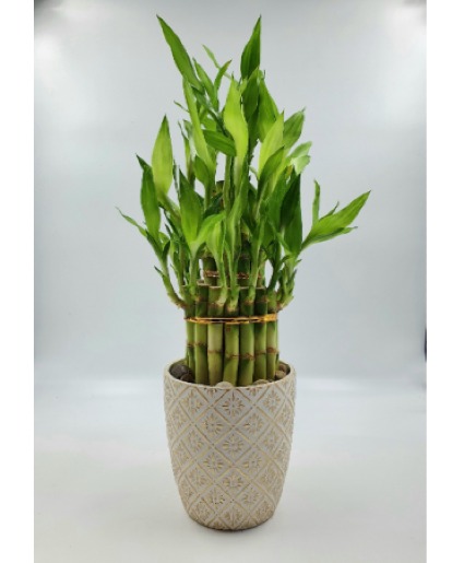 ferm living tray for plant box Ferm Living - Tray for Plant Box - Wood