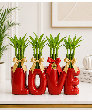 Lucky Hearts Bamboo Arrangement Call Us for Faster Service & Daily Specials: (915) 303-8500 Text Us to Order Anytime: (915) 505-3708 Your trusted source for Flowers & Delivery in El Paso TX