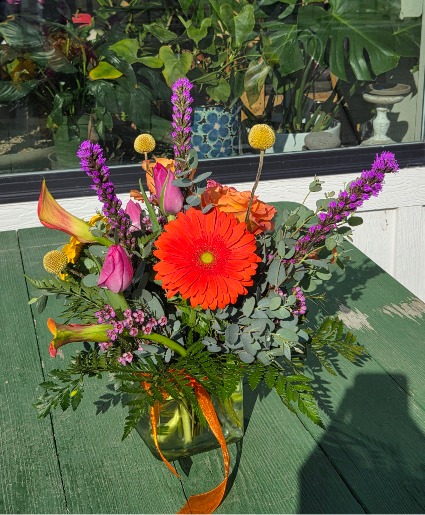 vibrant & lush blooms 