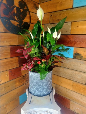 Lush and lively Planter