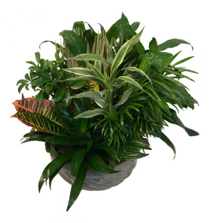 Lush Garden Ceramic Planter