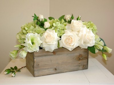 Lush Hydrangea 