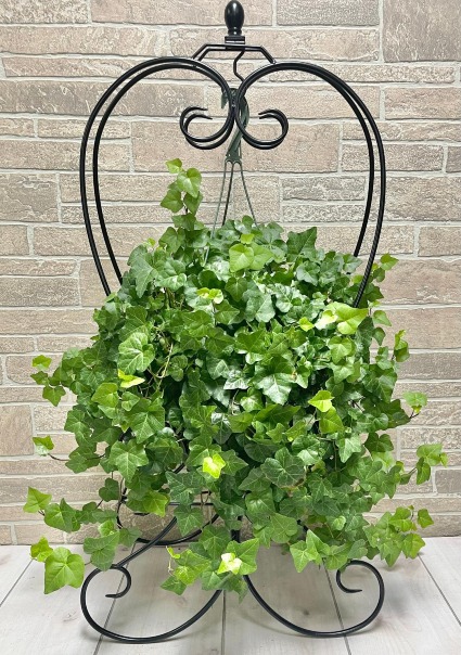 Lush Ivy Plant Stand 