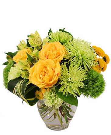 Lush Lemon Roses Flower Arrangement in Philadelphia, PA | QA Test Account