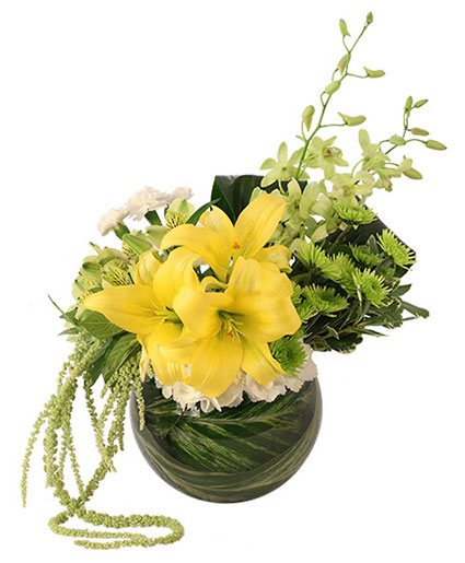 Lush Lilies & Dendrobiums Floral Design