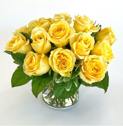 Lush & Low Roses Fresh Arrangement 