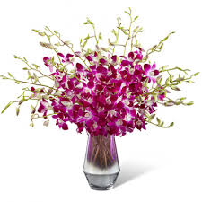 Orquid Dendromiun Arrangement Luxury Arrangement