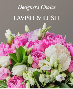 Luxury Designers Choice 