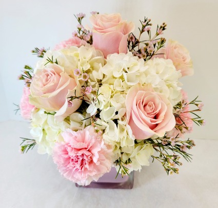  Blush Rush 