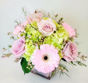  Posh Petals 
