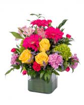 Our Fruit Cocktail Cube