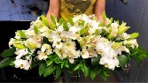 Madam Cixi Yacht Club Tropical Centerpiece