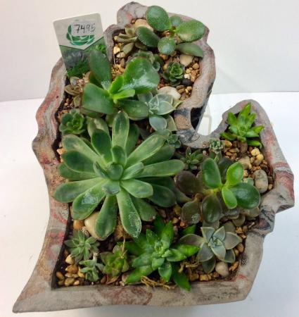 Made in Michigan Succulent Planter 