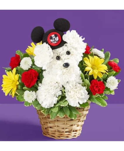 Magic Mouse Puppy Basket Call Us for Faster Service & Daily Specials: (915) 303-8500 Text Us to Order Anytime: (915) 505-3708 Your trusted source for Flowers & Delivery in El Paso TX 