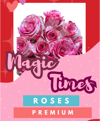 Magic Times Premium Roses Fresh Vase Arrangement