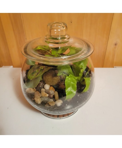 Magical Garden Terrarium