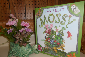 Magical Story Story Book Gift Set
