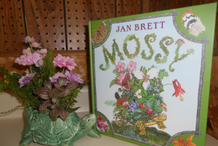 Magical Story Story Book Gift Set