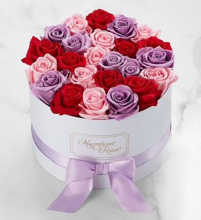 Magnificent Roses Romantic Medley Trio rose
