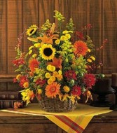 Majestic  Basket Arrangement
