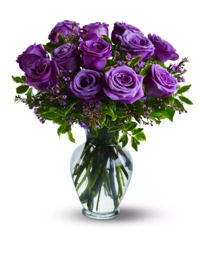 Majestic Purple 