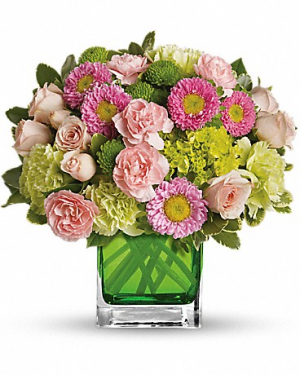 Make Her Day Tev20-3 11.25"(w) x 11"(h)