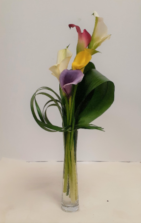 Mama Loves Callas 