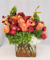 Mango Magic Arrangement