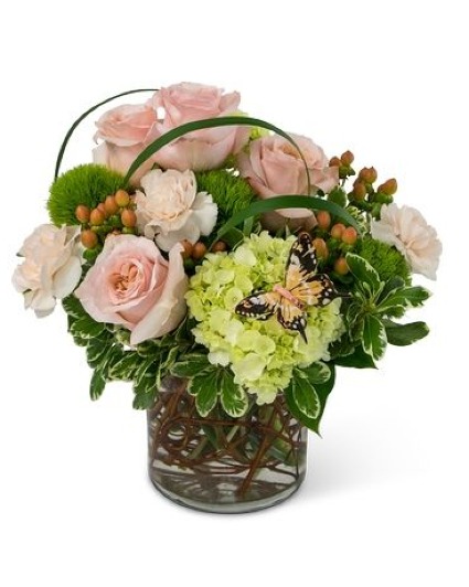 Many Thanks 