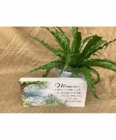 Marble Paver with a 6 in green plant 