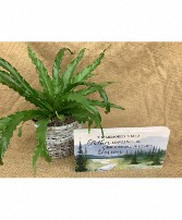 Marble Paver with a 6 in green plant 