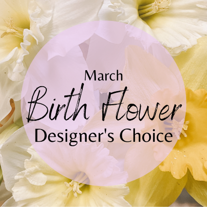 SF March Birth Flower Designer's Choice Designer's Choice