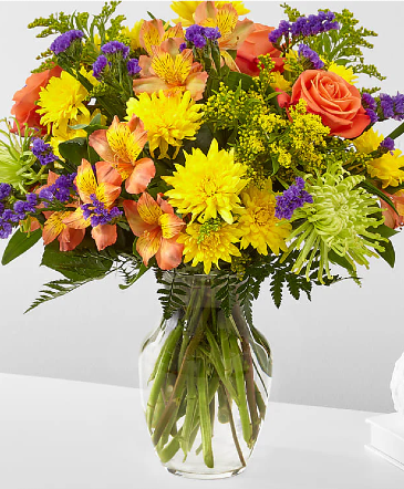 Marmalade skies Cut Flowers in Haltom City, TX | Jasmine Gardens