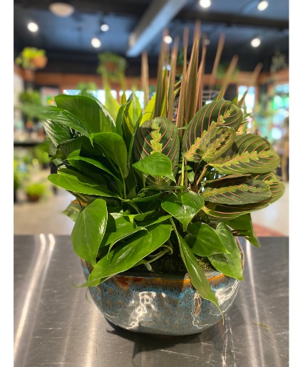 Medium Ceramic Dish Garden 