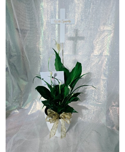 Medium Peace Lily with Sympathy cross  House Plant
