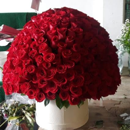 mega rose box 200 roses 