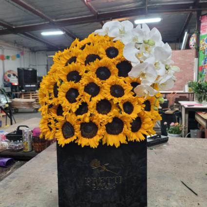 mega sunflower box orchids 