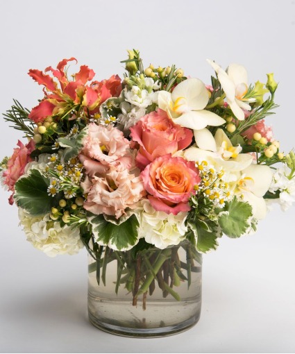 Mellow Melon 
