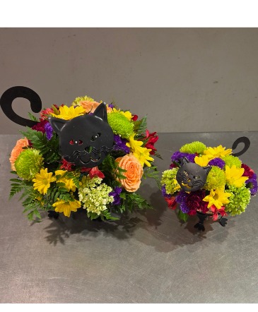 Meow-loween Whimsical, autumnal, reusable in Stony Brook, NY | Village Florist And Events