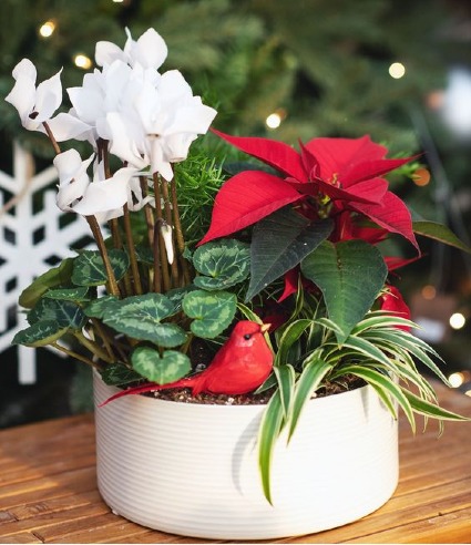 Merry & Bright 79  