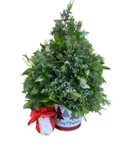 Merry Christmas Christmas Tree and BathBomb